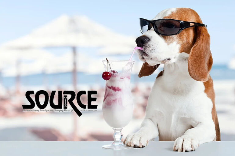 Beagle-Summer-Source
