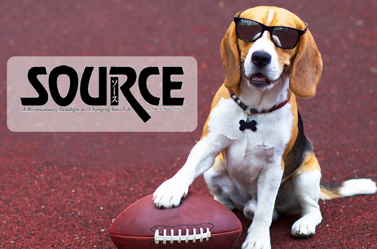 Beagle-10-12